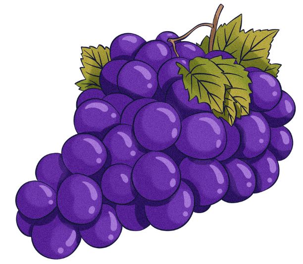 15 Healthy Foods for Working Men in India 2025 an article by www.refrr .in 1